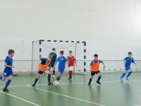 IMG_0660